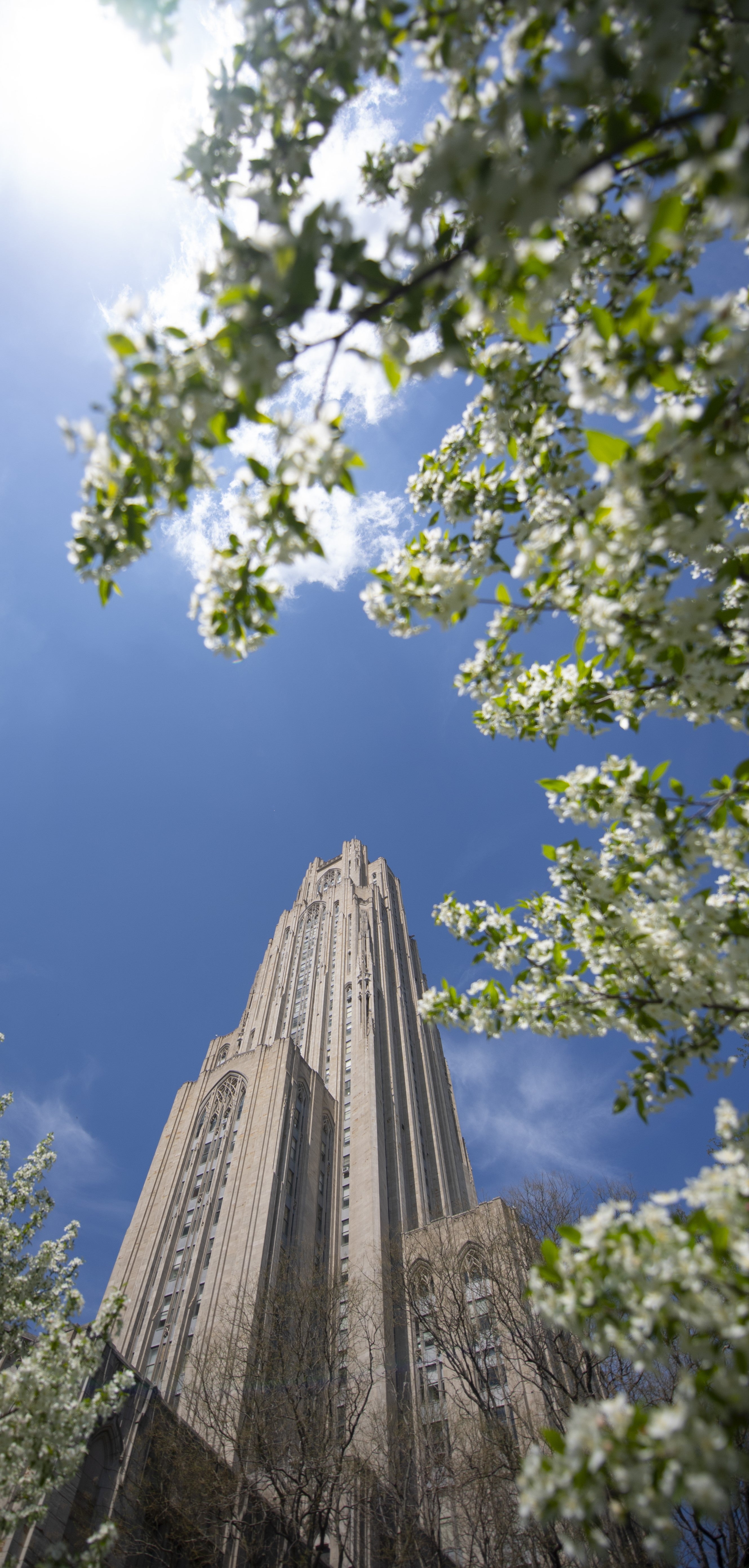 photo of cathedral of learning