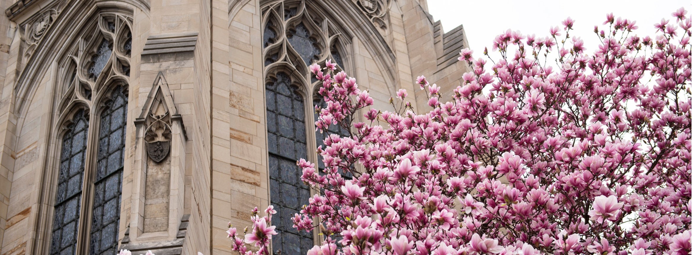 A view of the Cathedral of Learning in the spring.