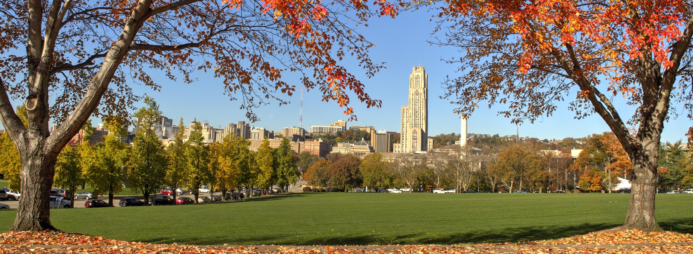 A view of the Cathedral of Learning in the fall.